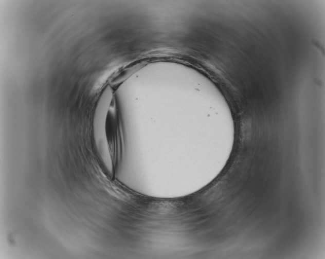 X0000098131355200805151105