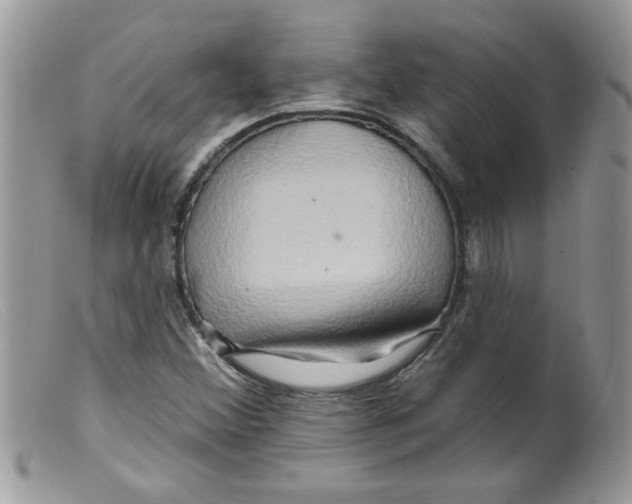 X0000098131356200805151105
