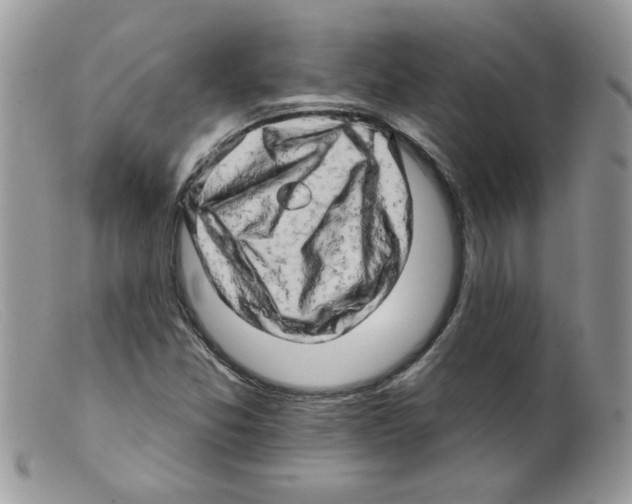 X0000098131357200805151105