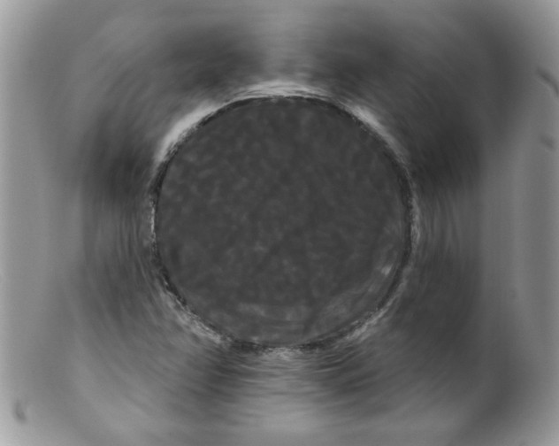 X0000098131358200805151105