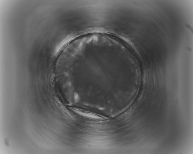 X0000098131359200805151105