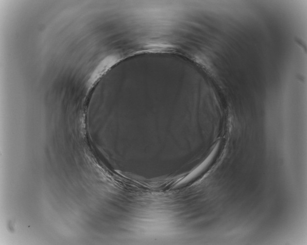 X0000098131362200805151105