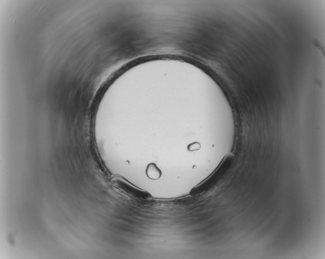 X0000098131364200805151105