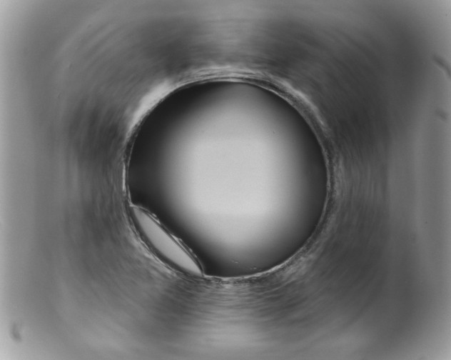 X0000098131365200805151105