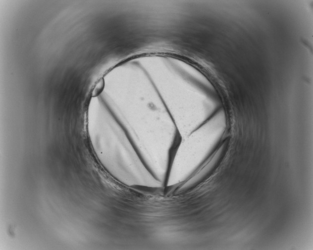 X0000098131366200805151105