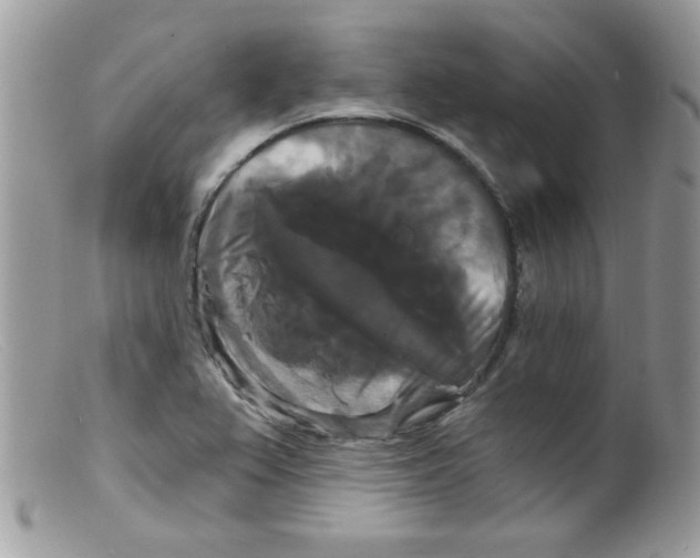 X0000098131367200805151105