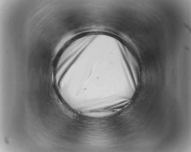 X0000098131368200805151105