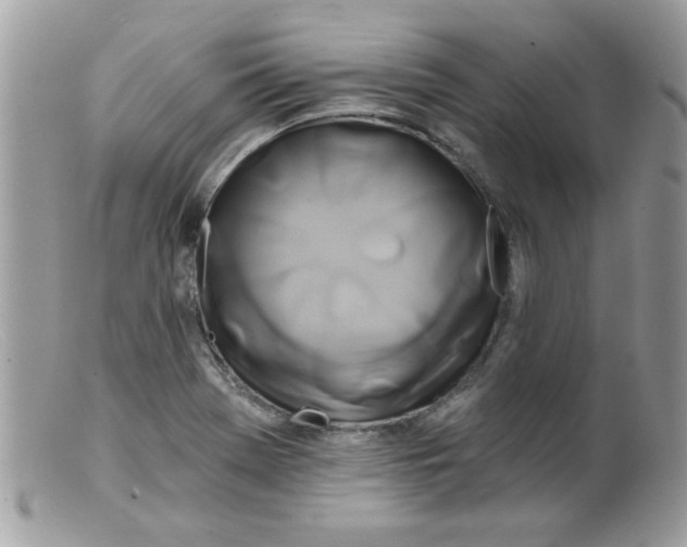 X0000098131369200805151105