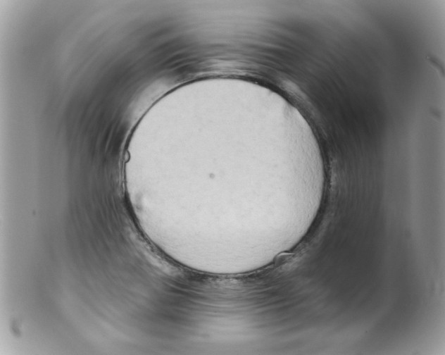 X0000098131370200805151105