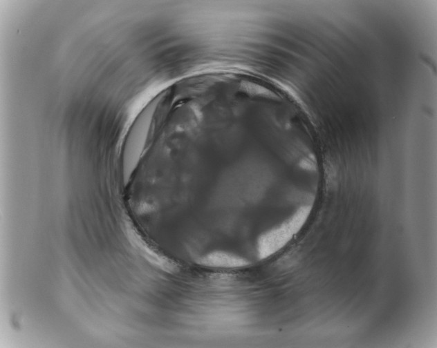 X0000098131371200805151105