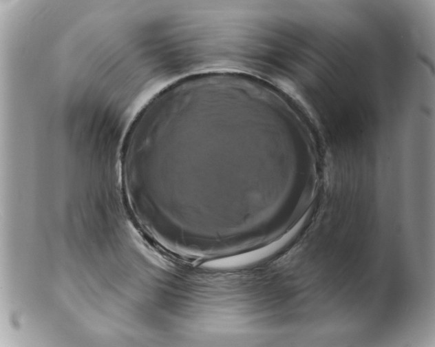 X0000098131372200805151105