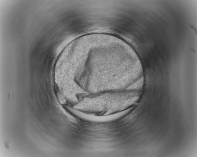 X0000098131375200805151105