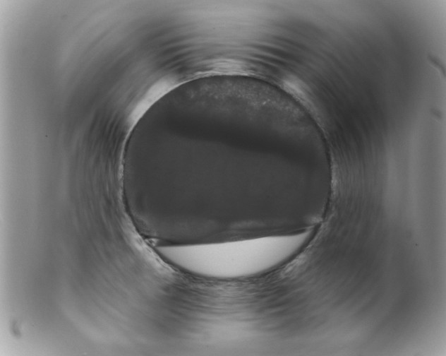 X0000098131378200805151105
