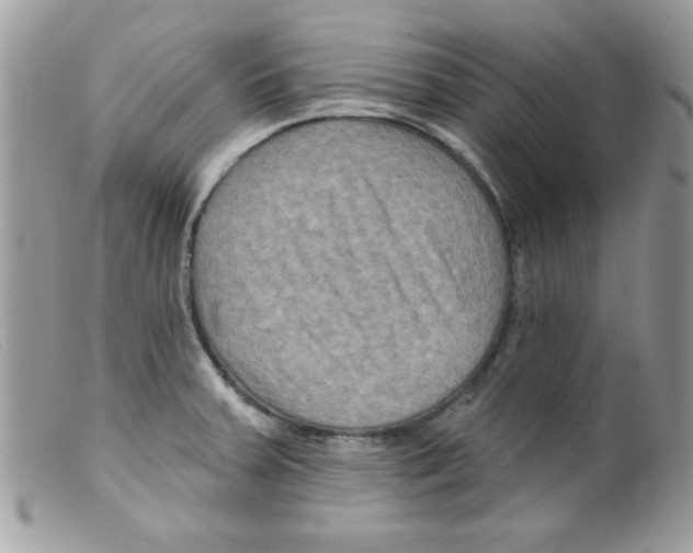 X0000098131379200805151105