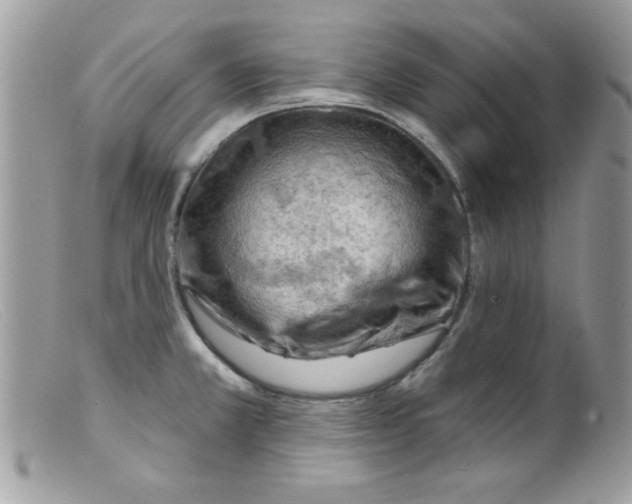 X0000098131381200805151105