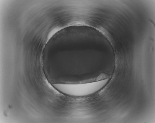 X0000098131382200805151105