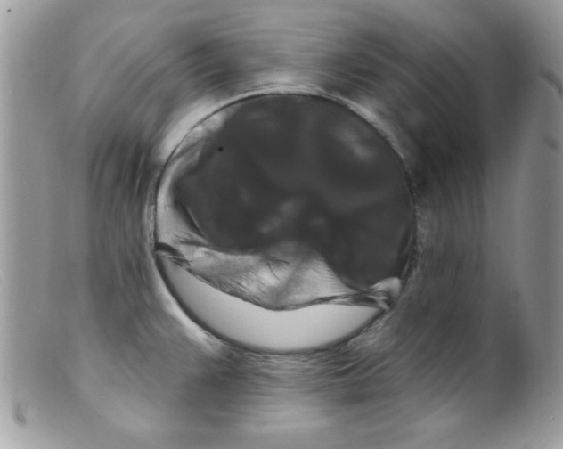 X0000098131383200805151105