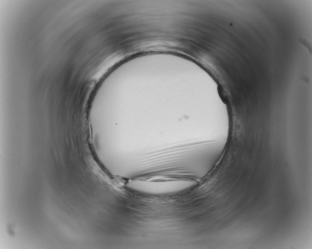 X0000098131384200805151105