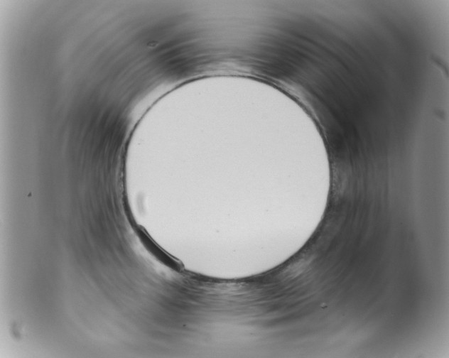 X0000098131387200805151105