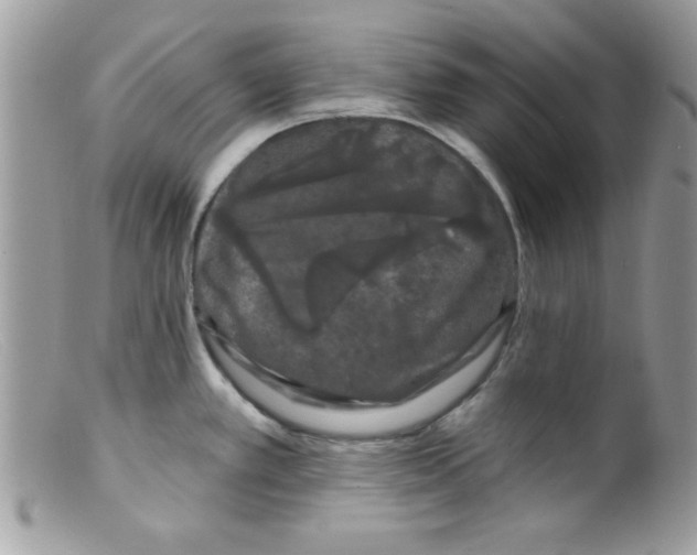 X0000098131389200805151105