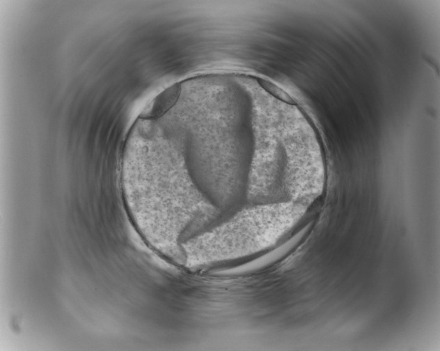 X0000098131390200805151105