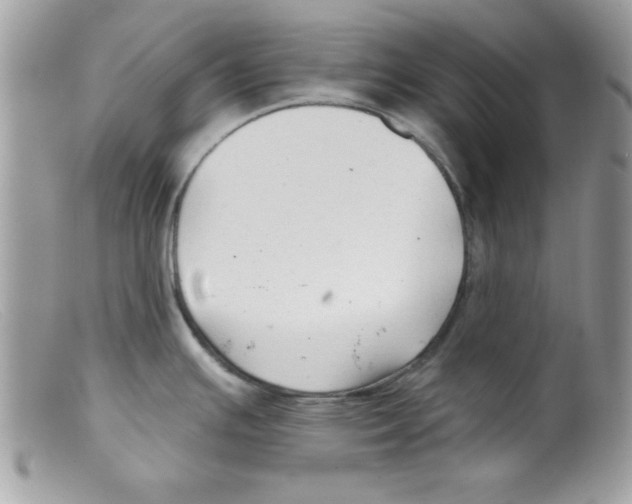 X0000098131391200805151105