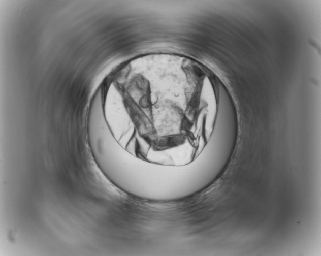 X0000098131392200805151105