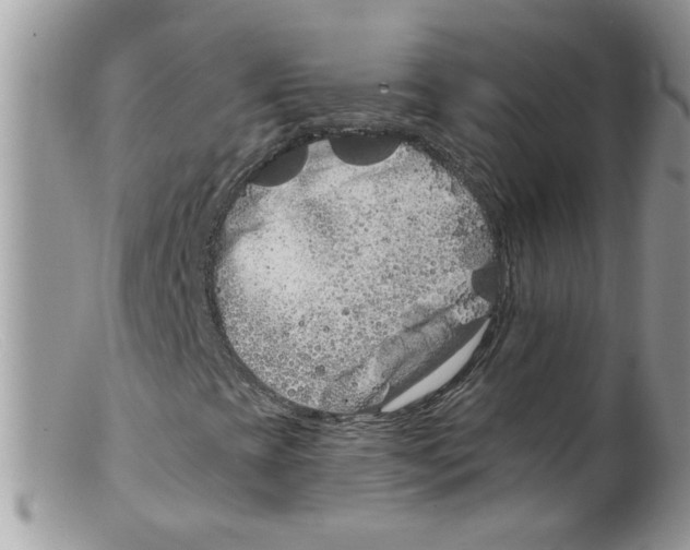 X0000098131393200805151104