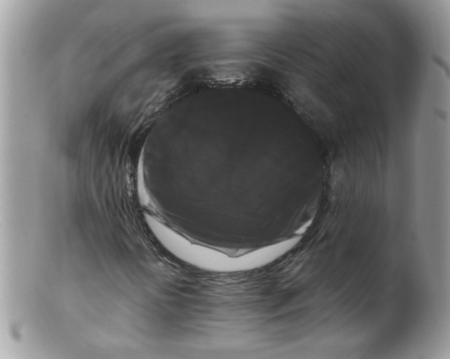 X0000098131394200805151104