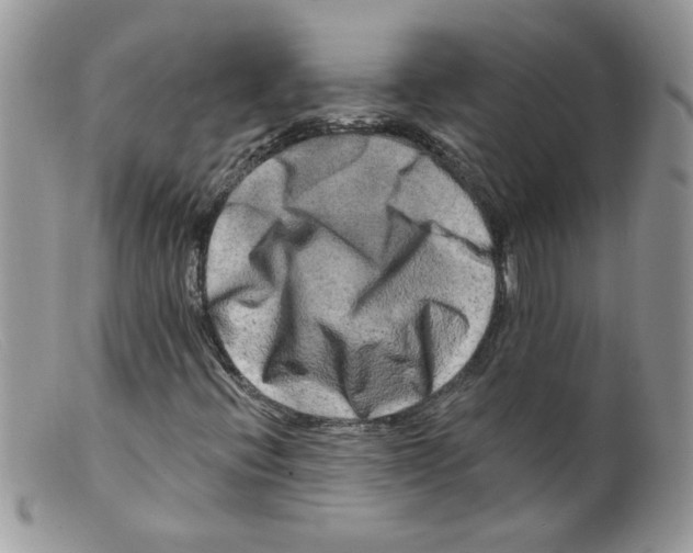 X0000098131396200805151104