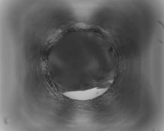 X0000098131397200805151104