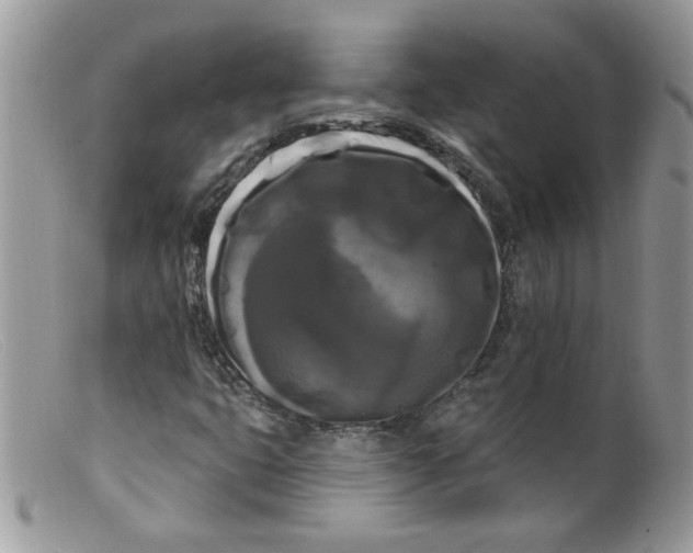 X0000098131399200805151104