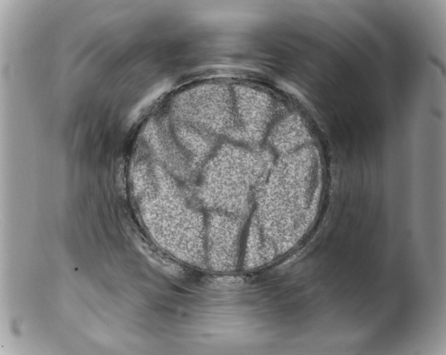 X0000098131403200805151104