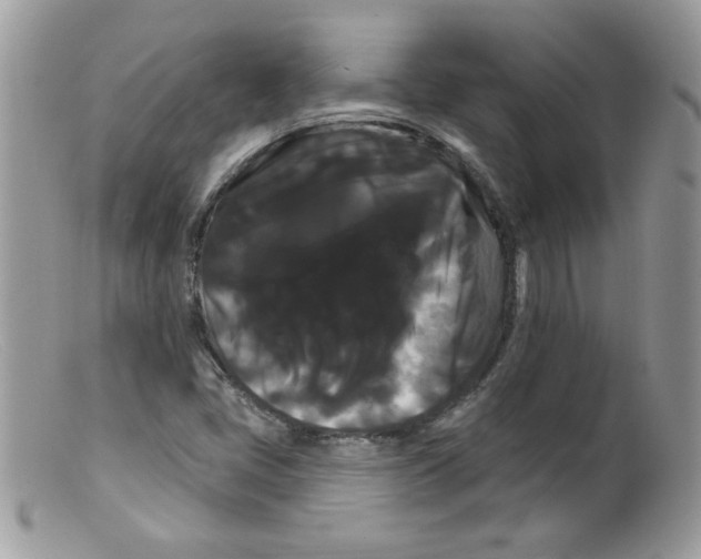 X0000098131405200805151104