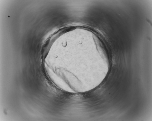 X0000098131406200805151104