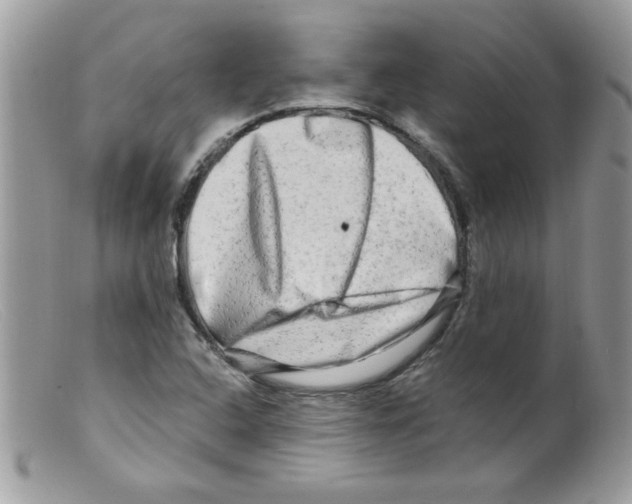 X0000098131408200805151104