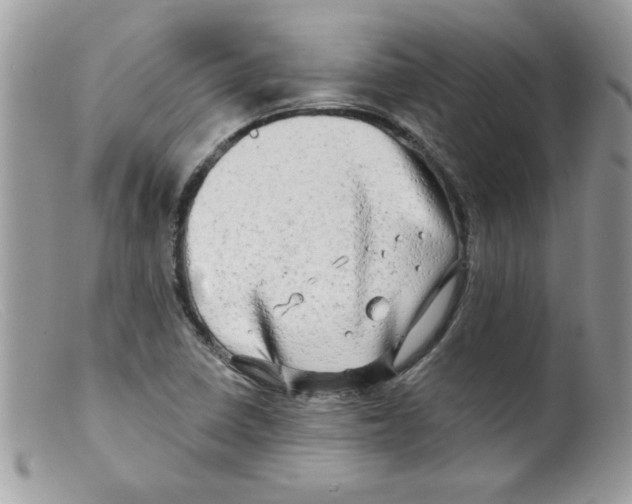 X0000098131410200805151104