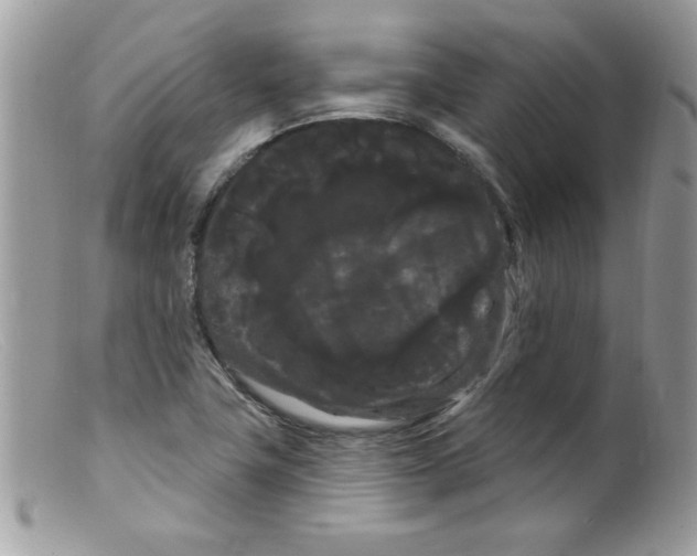 X0000098131411200805151104