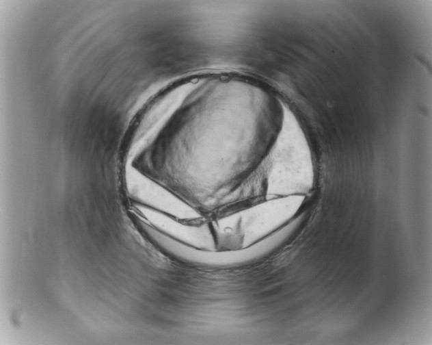 X0000098131412200805151104