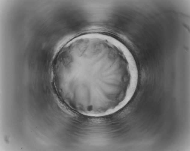 X0000098131413200805151104