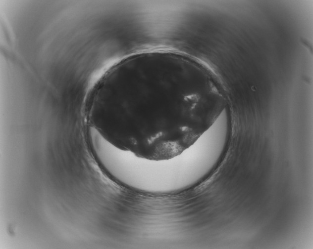 X0000098131414200805151104