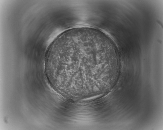 X0000098131415200805151104