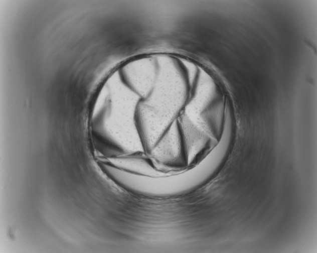 X0000098131416200805151104