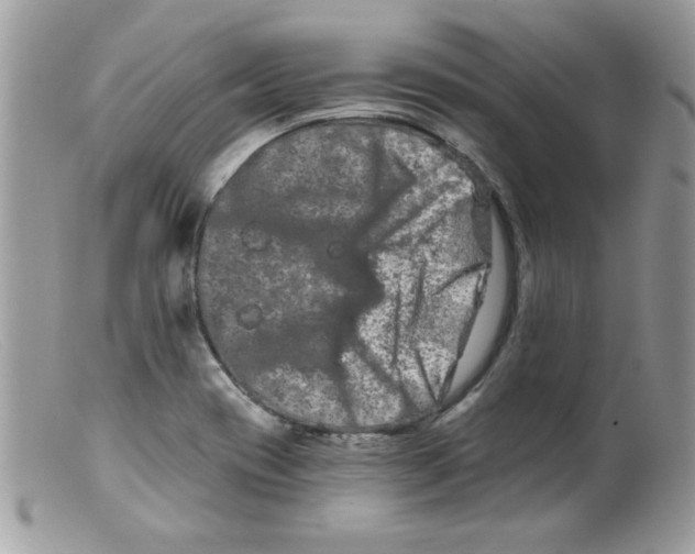 X0000098131417200805151105
