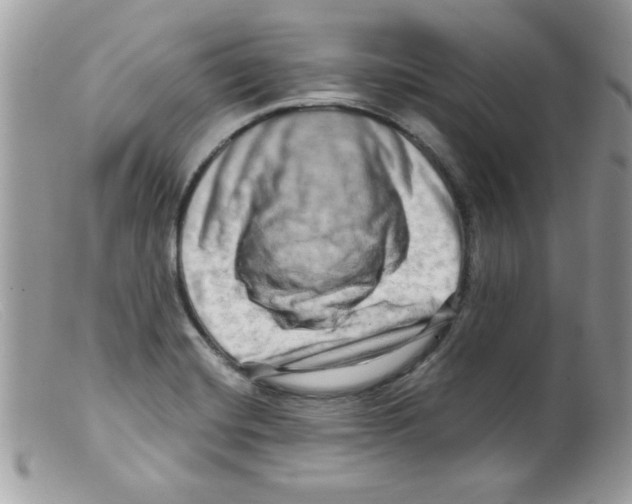 X0000098131420200805151105