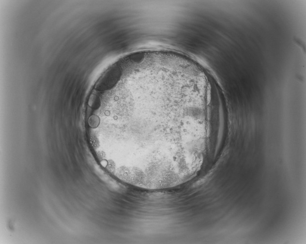 X0000098131421200805151105