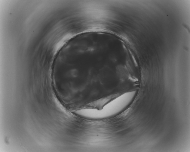 X0000098131422200805151105