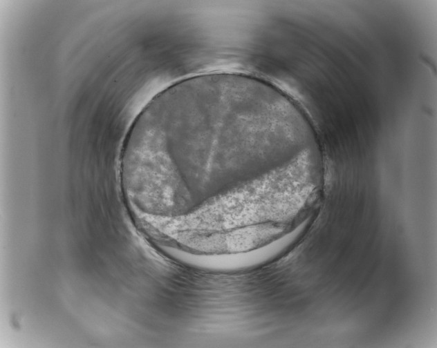 X0000098131423200805151105