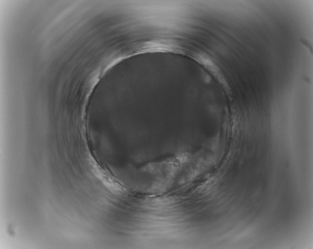 X0000098131427200805151105