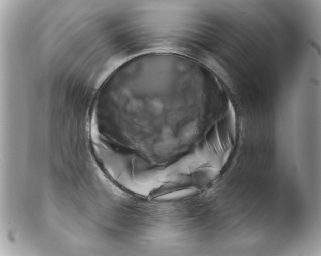 X0000098131428200805151105